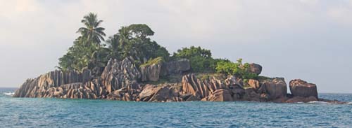 �T���E�s�G�[����