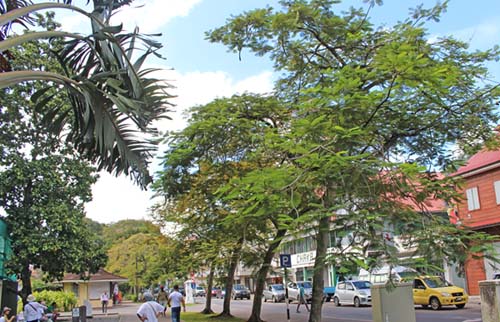 �r�N�g���A