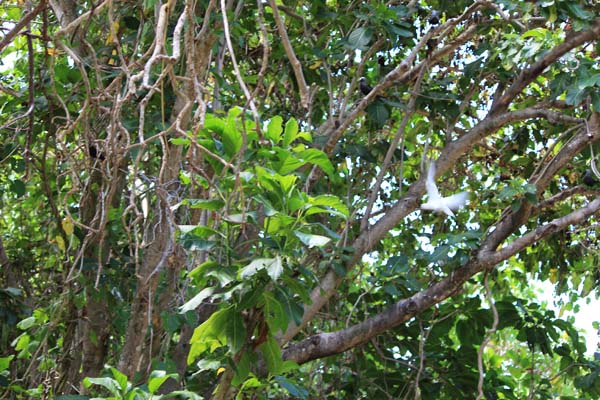 �N�[�U����