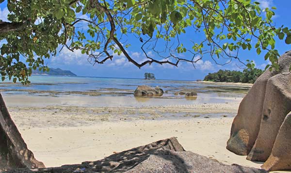 �A���X�E�X�[�X�E�W�����_�[��