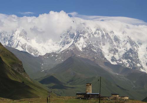 ���X�e�B�A