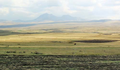 ���X�e�B�A