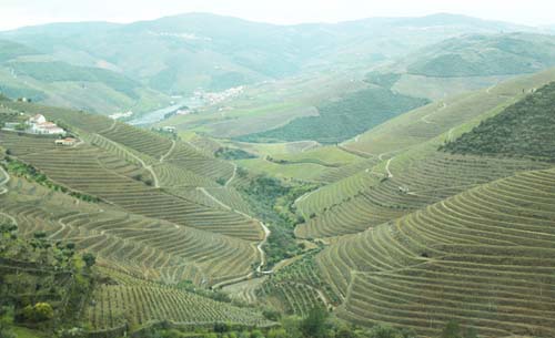 �h�E����