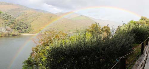 �h�E����