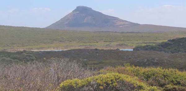 �G�X�y�����X��