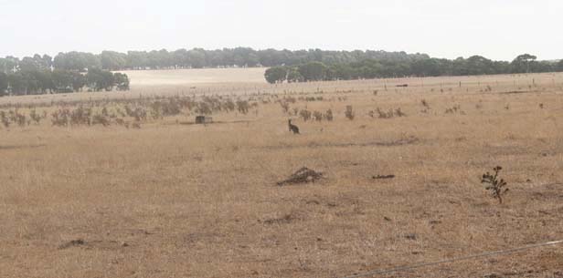 �G�X�y�����X��