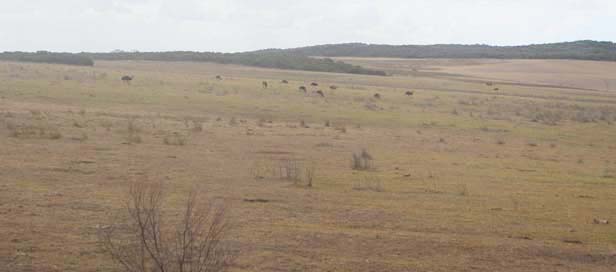 �G�X�y�����X��