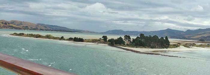 �_�j�[�f��