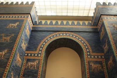 �C�V���^�[����