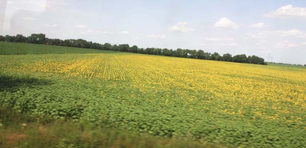 �G���x��