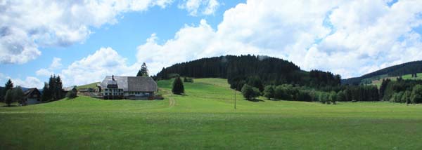 �e�B�e�B�[�[