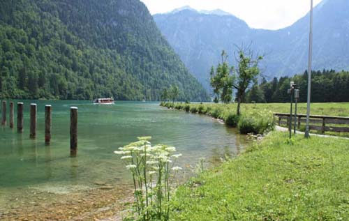 �P�[�j�q��