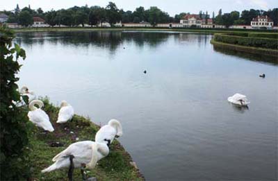 �j���t�F���u���O��