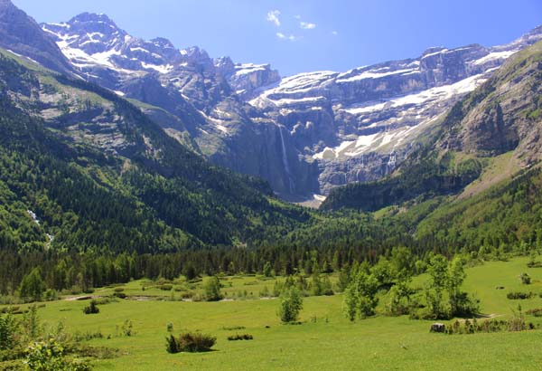 �J���@���j�[