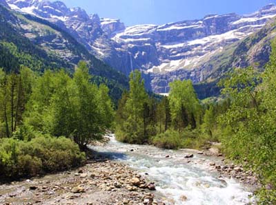 �J���@���j�[