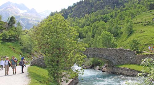 �J���@���j�[