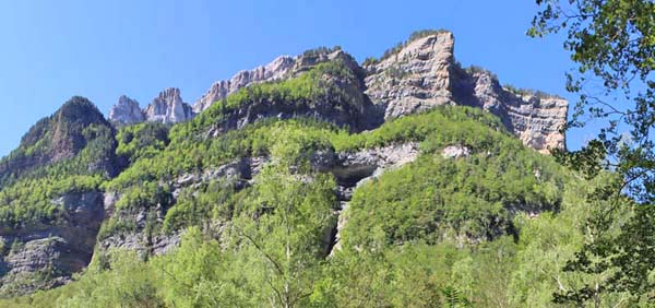 �I���f�T��������