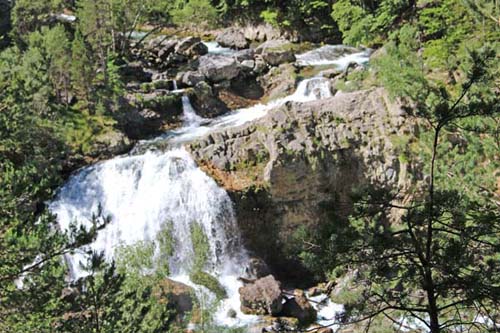 �I���f�T��������