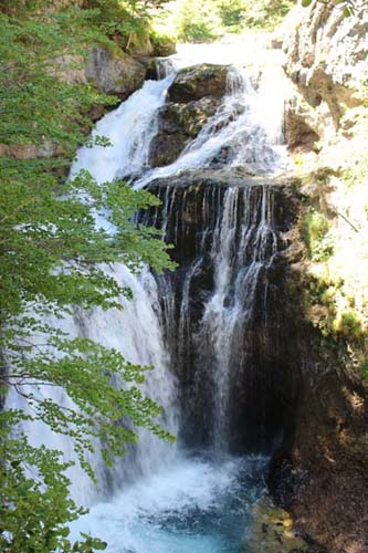 �I���f�T��������