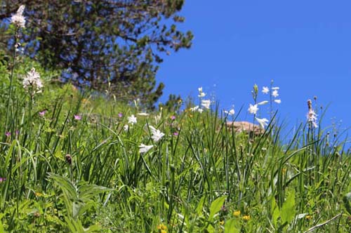 �I���f�T��������