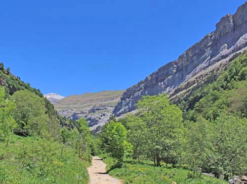 �I���f�T��������