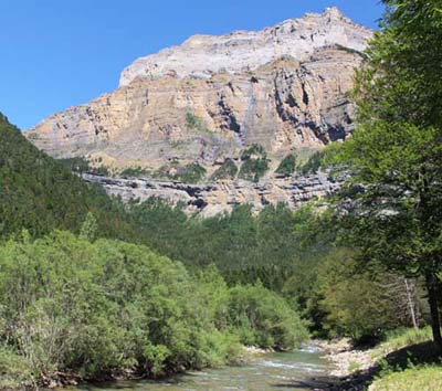 �I���f�T��������