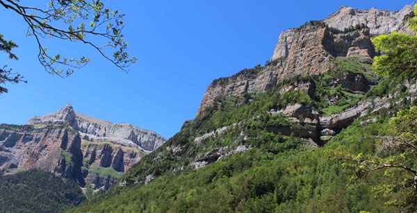 �I���f�T��������