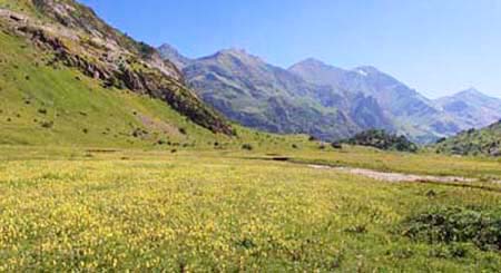 ���B�j���}��