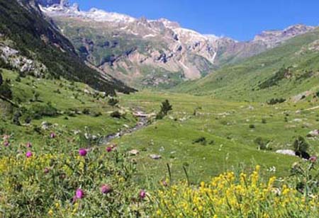 ���B�j���}��