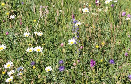 ���B�j���}��