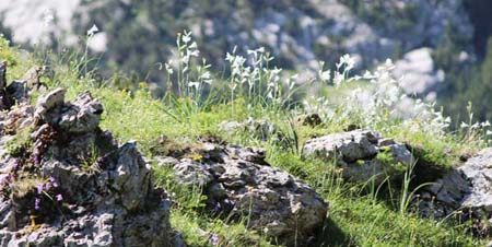 ���B�j���}��