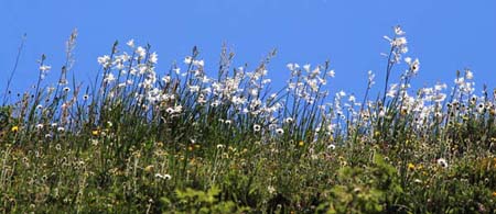 ���B�j���}��