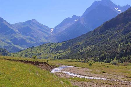 ���B�j���}��