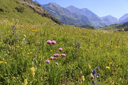 ���B�j���}��