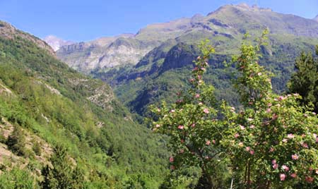 ���B�j���}��