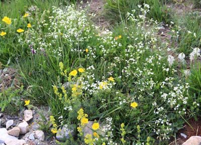 �A�����k�J