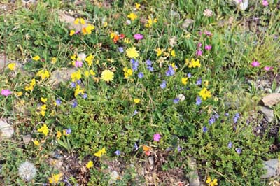 �A�����k�J