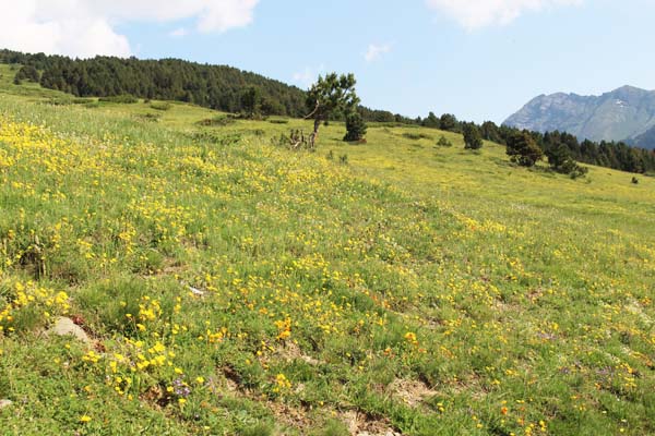 �A�����k�J