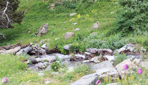 �A�����k�J