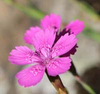 ���B�j���}��