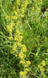 ���B�j���}��