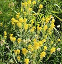 ���B�j���}��