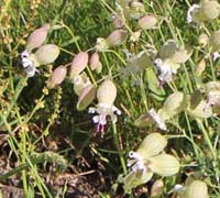 ���B�j���}��