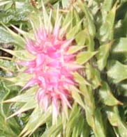 ���B�j���}��