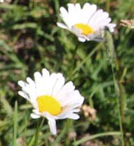 ���B�j���}��