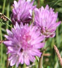 ���B�j���}��