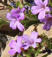 ���B�j���}��