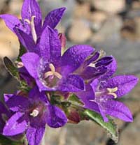 ���B�j���}��