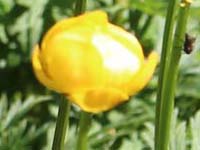 ���B�j���}��