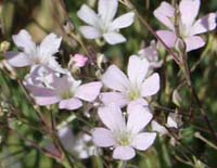 ���B�j���}��